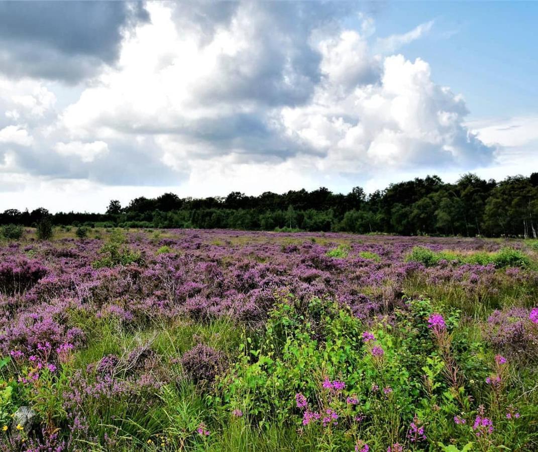 B&B De Panheide Hooghalen Zewnętrze zdjęcie