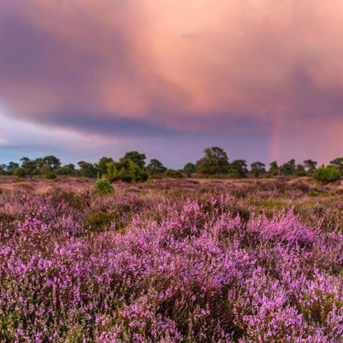 B&B De Panheide Hooghalen Zewnętrze zdjęcie