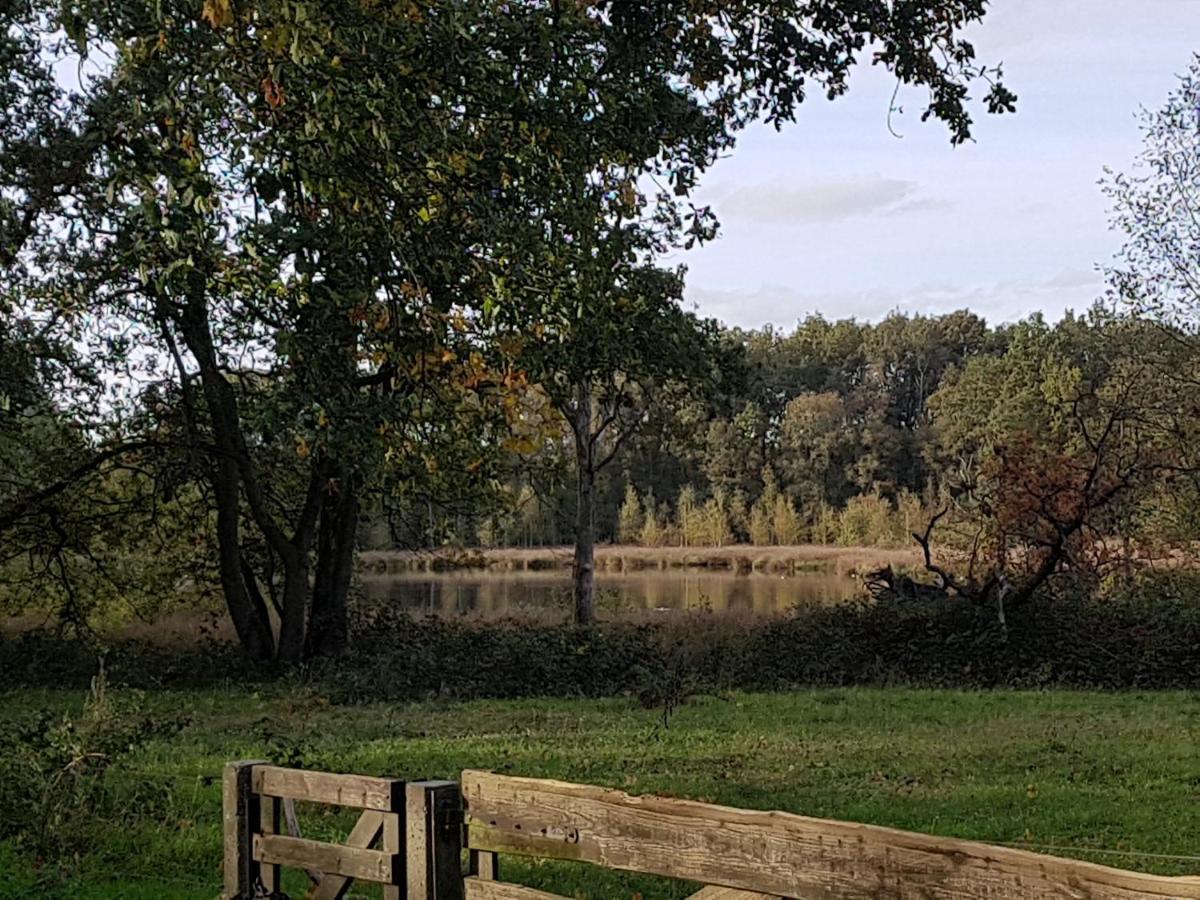 B&B De Panheide Hooghalen Zewnętrze zdjęcie